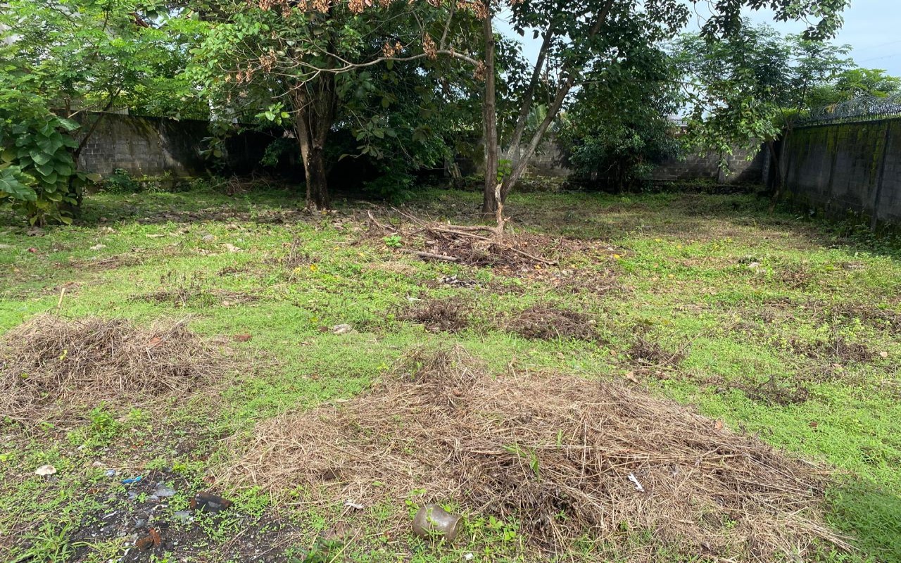 Land for Sale in Walauwatta Road Rajagiriya - Gallery