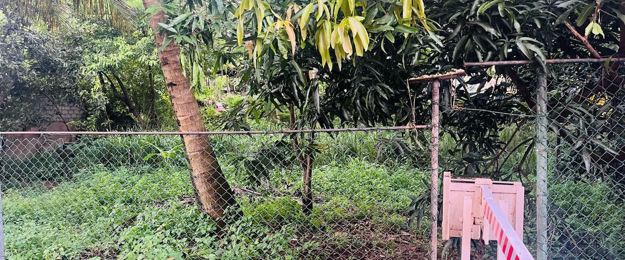 Udahamulla Land for Sale - Gallery