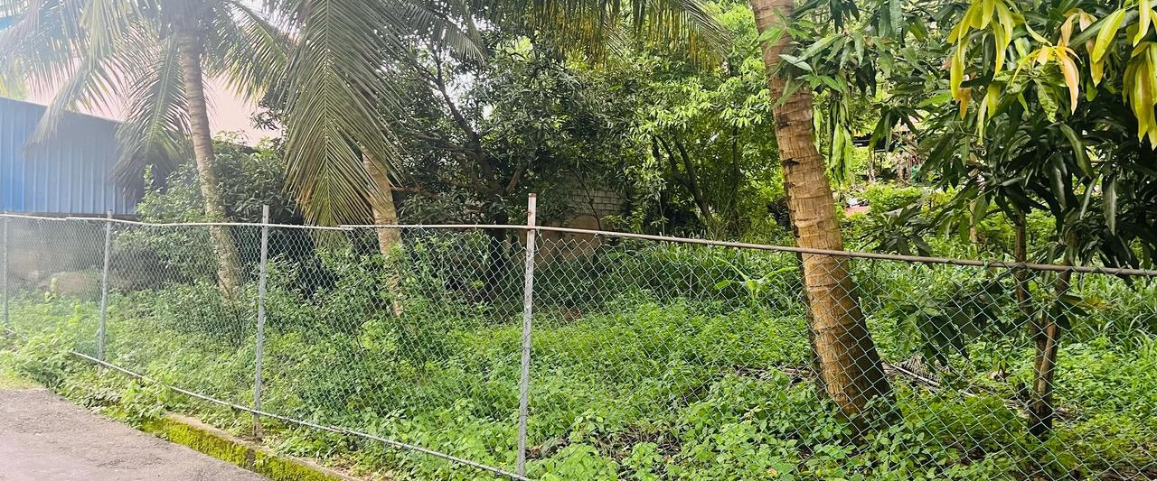 Udahamulla Land for Sale - Gallery