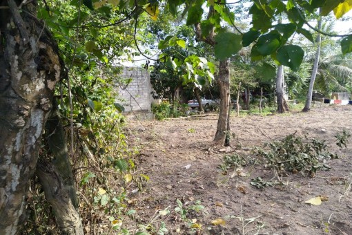 29 Perches Land for Sale – Andiambalama, Katunayake