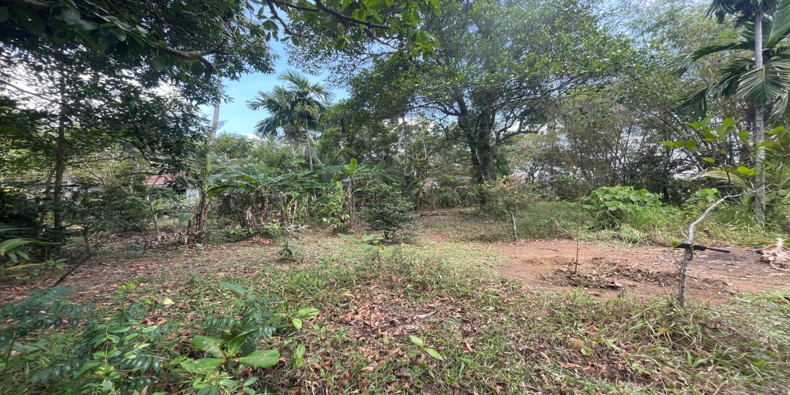 Land for Sale in Veyangoda - Gallery