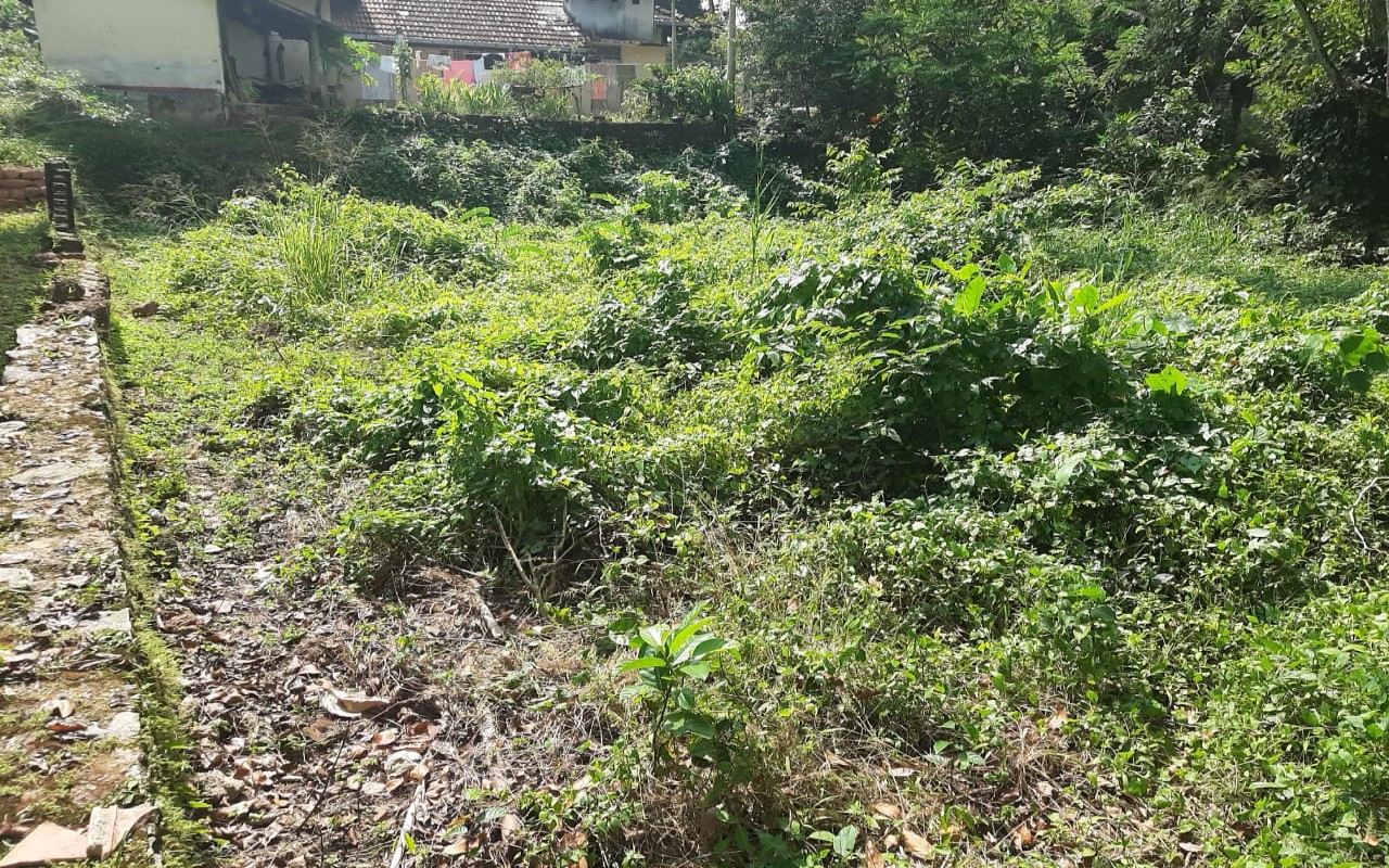 Land for Sale in Gampaha - Ganemulla Town - Gallery